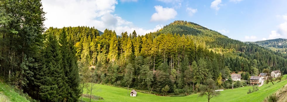 Panorama from idyllic landmark in Blackforest Germany