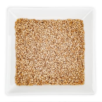 Sesame Seeds in Bowl isolated on white background