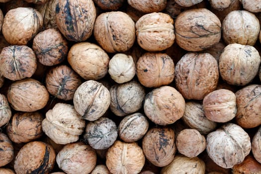 Heap of walnuts - autumn fruits