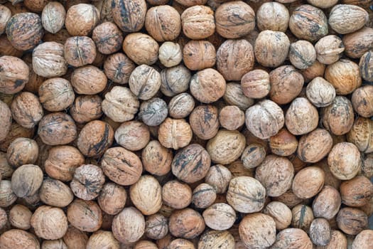Heap of walnuts - autumn fruits
