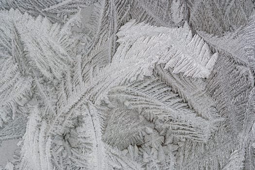 Abstract detail of the frost flower on the window