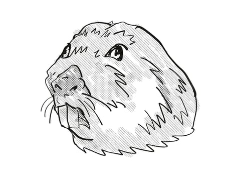 Retro cartoon style drawing of head of a Colonial Tuco Tuco, an endangered wildlife species on isolated white background done in black and white.