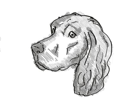 Retro cartoon style drawing of head of a Harrier Dog, a domestic canine breed on isolated white background done in black and white.