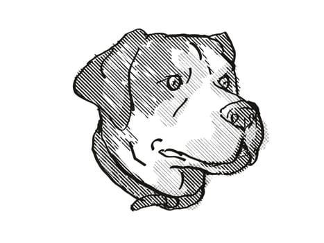 Retro cartoon style drawing of head of a Harrier Dog, a domestic canine breed on isolated white background done in black and white.