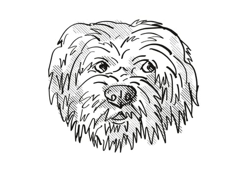 Retro cartoon style drawing of head of a Harrier Dog, a domestic canine breed on isolated white background done in black and white.