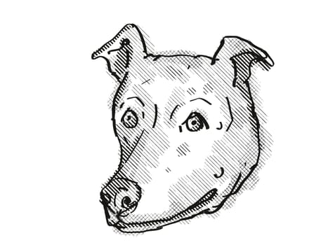 Retro cartoon style drawing of head of a Harrier Dog, a domestic canine breed on isolated white background done in black and white.