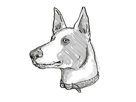 Retro cartoon style drawing of head of a Harrier Dog, a domestic canine breed on isolated white background done in black and white.