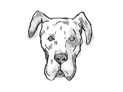 Retro cartoon style drawing of head of a Harrier Dog, a domestic canine breed on isolated white background done in black and white.