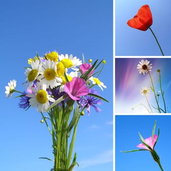 Summer flower collage