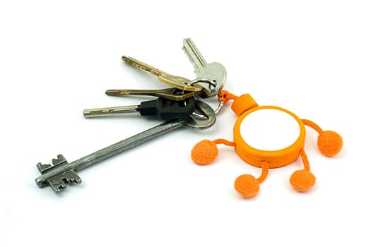 A bunch of keys with a keyring on a white background