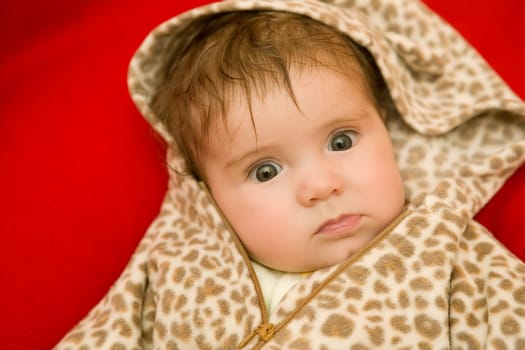 young baby portrait, studio picture
