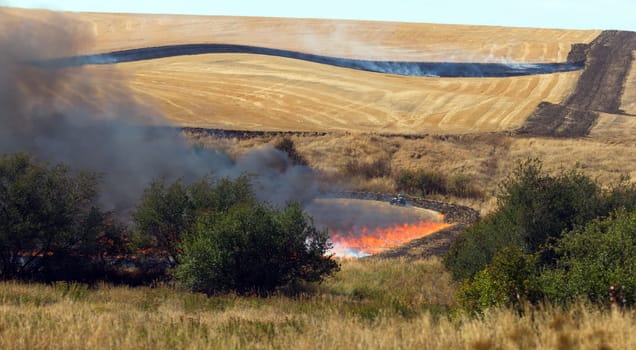 Farmers do a controlled burn before plowing after harvest