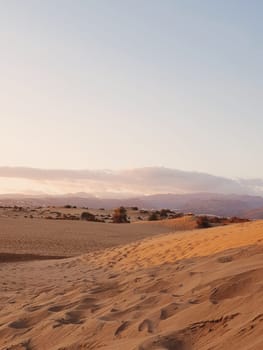 Maspalomas Dunes