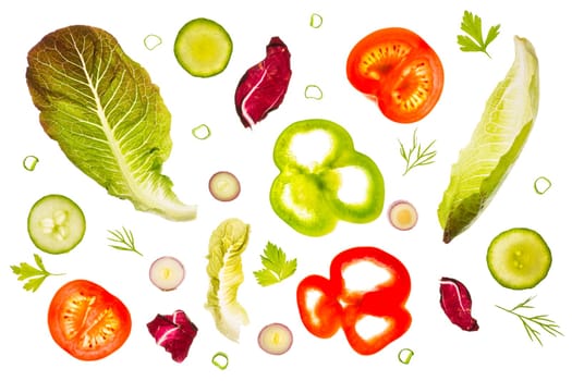 Romaine lettuce leaves, radicchio, slices of green and red peppers, tomato and red scallion slices, cucumber slices, dill and parsley backlit on a light table. Isolated on a white background.