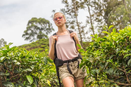 Active caucasian blonde woman enjoing fresh air and pristine nature while tracking among tea plantaitons near Ella, Sri Lanka. Bacpecking outdoors tourist adventure.