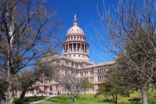 Brown Austin Capitol House