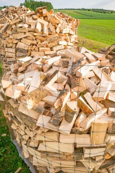 Logs in a metal grid cage on a lumber yard