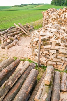 Timber logs on a lumberyard in a springtime field environment