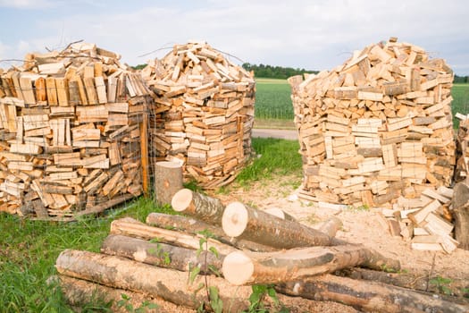 Timber logs on a lumberyard in a springtime field environment