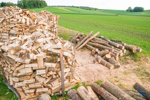 Logs in a metal grid cage on a lumber yard