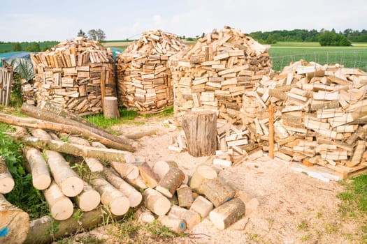 Timber logs on a lumberyard in a springtime field environment