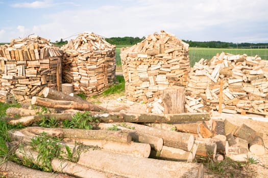 Timber logs on a lumberyard in a springtime field environment