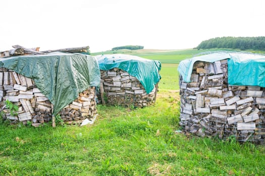 Logs in a metal grid cage covered by a plastic sheet on a lumber yard