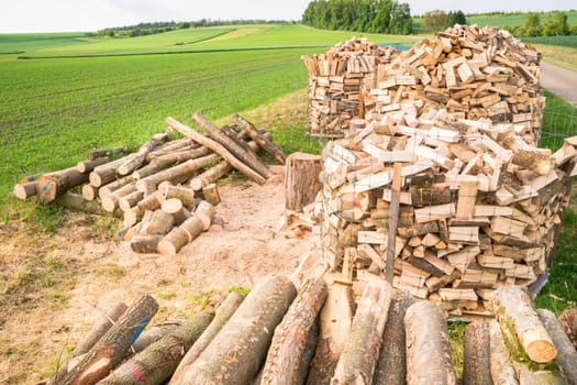 Timber logs on a lumberyard in a springtime field environment