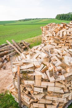 Logs in a metal grid cage on a lumber yard