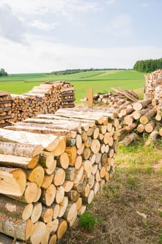 Timber logs on a lumberyard in a springtime field environment