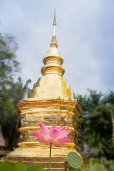 Wat Pra Singh beautiful temple in Chiang Mai, Thailand, stock photo