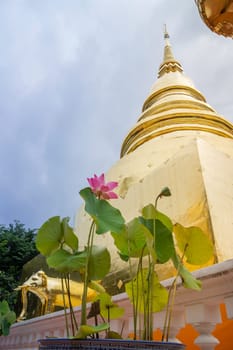 Wat Pra Singh beautiful temple in Chiang Mai, Thailand, stock photo