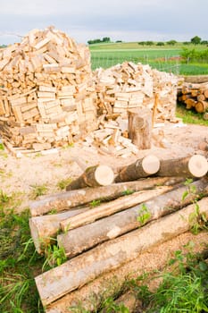 Timber logs on a lumberyard in a springtime field environment
