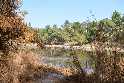 Lake Landscape view at coastal areas of Vindhya Hills inside Bandhavgarh National park, Madhya Pradesh, India.
