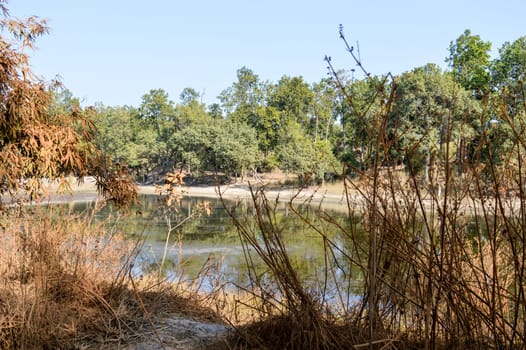 Lake Landscape view at coastal areas of Vindhya Hills inside Bandhavgarh National park, Madhya Pradesh, India.