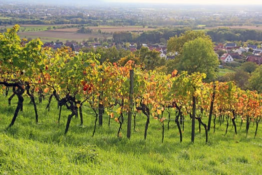 The Letzenberg - between Malsch and Malschenberg - is the northwesternmost point of the Kraichgau