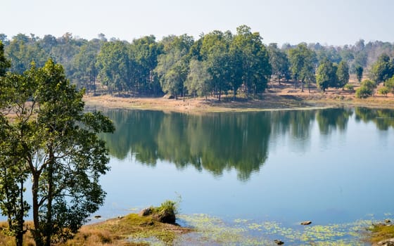 Landscape view Central Tala zone of Bandhavgarh National Park India. Located in Indian state of Madhya Pradesh forest divisions of Umaria and Katni. This large biodiverse park is full of tropical forest, Sal trees and grassland