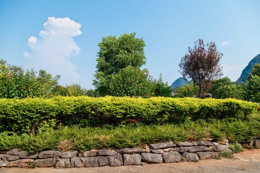 Scenic area in a tropical plant park on a clear sunny day, Yangshuo, China