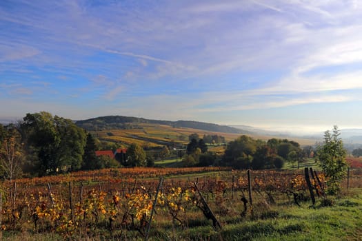 View from Letzenberg to the northeast