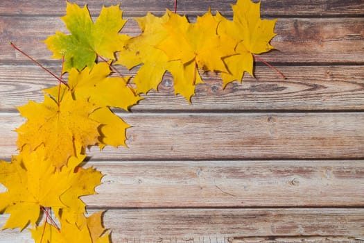 fallen leaves on wooden background, top view, copy space