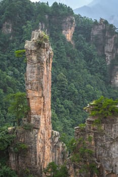 Vertical view of the stone pillar of Tianzi mountains in Zhangjiajie National park, a famous tourist attraction, Wulingyuan, Hunan Province, China
