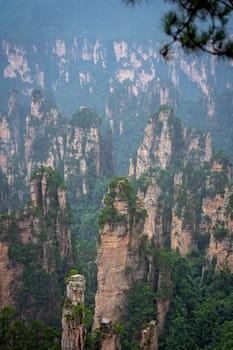 Vertical view of the stone pillars of Tianzi mountains in Zhangjiajie National park which is a famous tourist attraction, Wulingyuan, Hunan Province, China