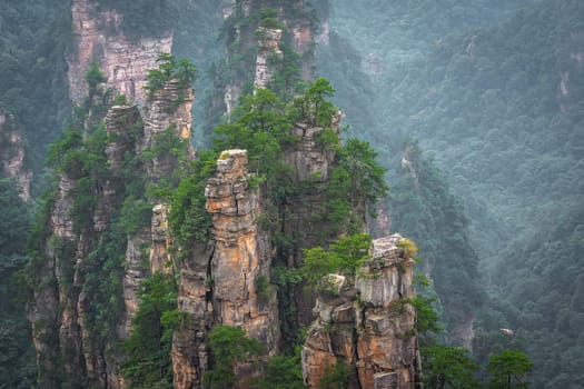 Panoramic view of the stone pillars of Tianzi mountains in Zhangjiajie National park, a famous tourist attraction, Wulingyuan, Hunan Province, China