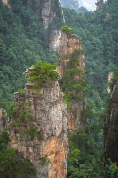 Vertical view of the stone pillars of Tianzi mountains in Zhangjiajie National park which is a famous tourist attraction, Wulingyuan, Hunan Province, China