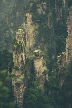 Vertical view of the stone pillars of Tianzi mountains in Zhangjiajie National park which is a famous tourist attraction, Wulingyuan, Hunan Province, China