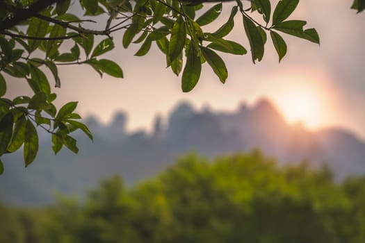 Defocused sunset over the stunningly beautiful rocky karst mountain formations as seen from the centre of Wulingyuan town, Zhangjiajie National Park, Hunan Province, China