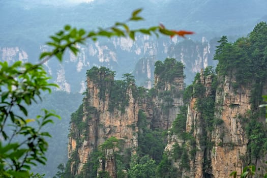 View from the scenic platform lookout of the stone pillars of Tianzi mountains in Zhangjiajie National park which is a famous tourist attraction, Wulingyuan, Hunan Province, China