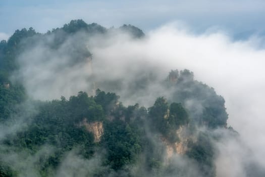 Low morning clouds engulfing stone pillars of Tianzi mountains in Zhangjiajie National park, a famous tourist attraction, Wulingyuan, Hunan Province, China