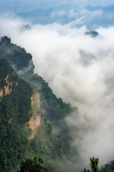 Vertical view of the low morning clouds engulfing stone pillars of Tianzi mountains in Zhangjiajie National park, a famous tourist attraction, Wulingyuan, Hunan Province, China