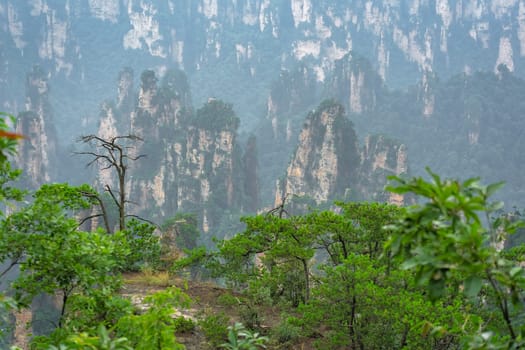 View from the scenic platform lookout of the stone pillars of Tianzi mountains in Zhangjiajie National park which is a famous tourist attraction, Wulingyuan, Hunan Province, China